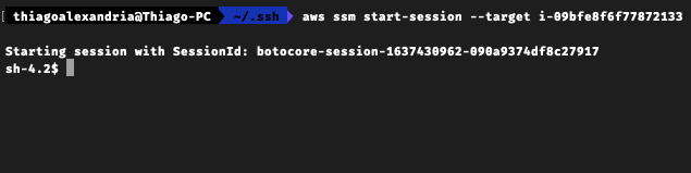 ssm plugin